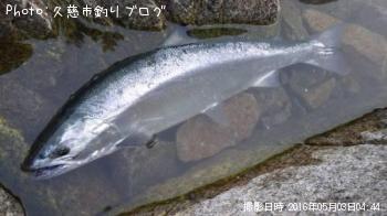 ¥µ¥¯¥é¥Þ¥¹