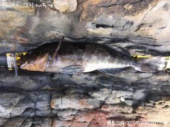 �����ʥ�