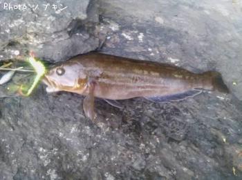 �����ʥ�