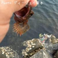 �����ϥ�