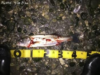 �����Х�