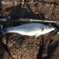 �ҥ饹����