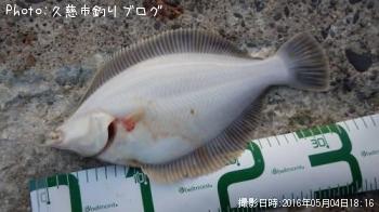 ¥Þ¥³¥¬¥ì¥¤