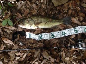 �֥�å��Х�