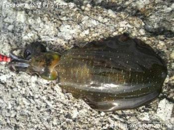 ¥¢¥ª¥ê¥¤¥«