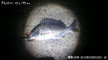 ¥¥Ó¥ì