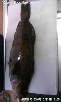 �����ʥ�