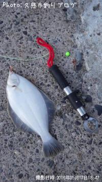 �ޥ����쥤