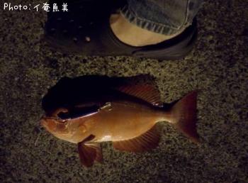 ¥Û¥¦¥»¥¥¥ó¥È¥