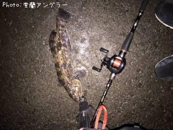 �����ʥ�