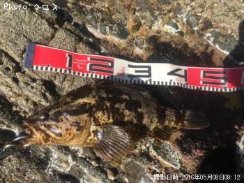 �٥å�������