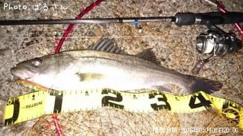 �����Х�