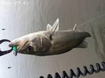 �����Х�