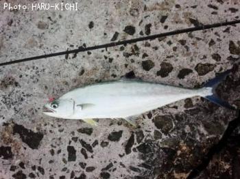 �������ĥ�