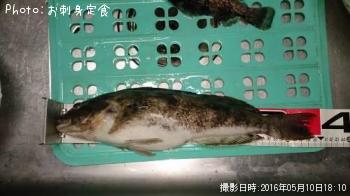 �����ʥ�