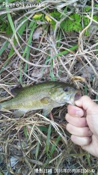 ¥Ö¥é¥Ã¥¯¥Ð¥¹