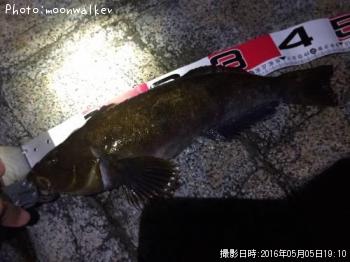 �����ʥ�