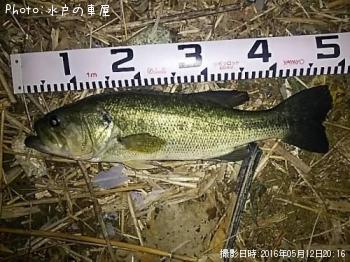 ¥Ö¥é¥Ã¥¯¥Ð¥¹