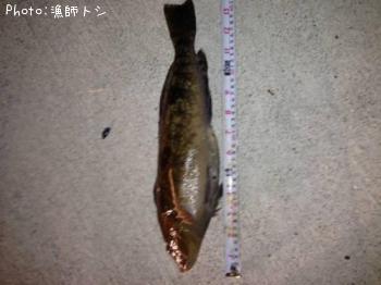 �����ʥ�