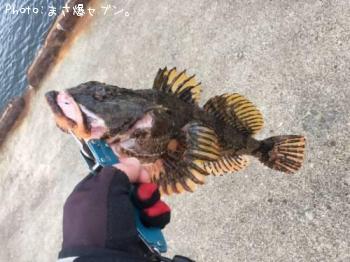 �ޥ�����