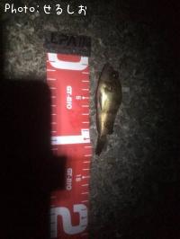 ������Х����