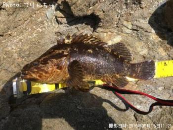 ¥¿¥±¥Î¥³¥á¥Ð¥ë