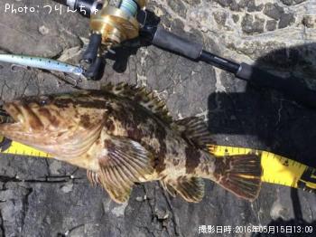 �����Υ���Х�