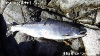 ¥µ¥¯¥é¥Þ¥¹