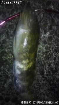 �����ʥ�