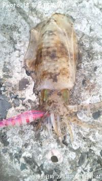 �����ꥤ��