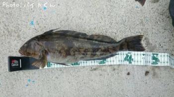 �����ʥ�