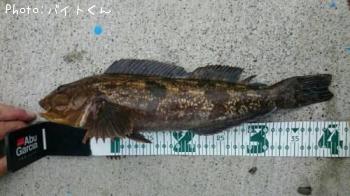 �����ʥ�