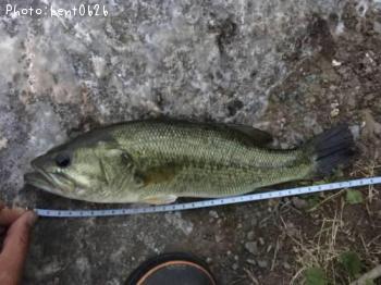 �֥�å��Х�