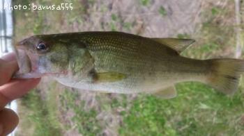 ¥Ö¥é¥Ã¥¯¥Ð¥¹