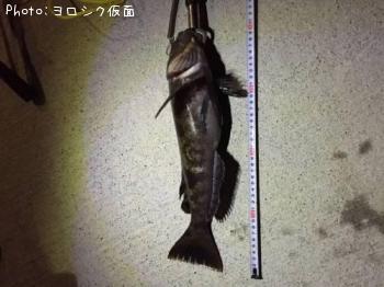 �����ʥ�