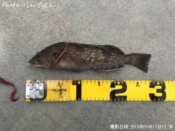 �����ʥ�