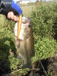 ¥Ö¥é¥Ã¥¯¥Ð¥¹