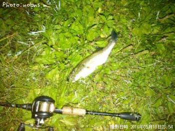 �֥�å��Х�