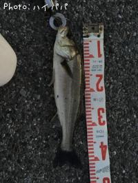 �����Х�