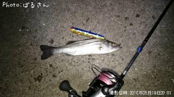 �����Х�