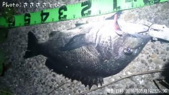 ¥¯¥í¥À¥¤¡õ¥°¡¼¥Õ¡¼