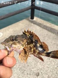 �����Υ���Х�