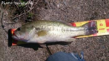 �֥�å��Х�