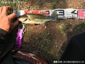 ¥Ö¥é¥Ã¥¯¥Ð¥¹