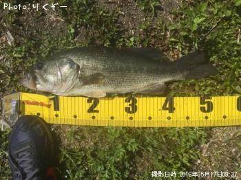 ¥Ö¥é¥Ã¥¯¥Ð¥¹