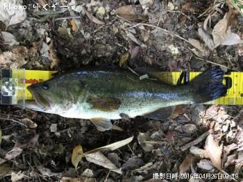 ¥Ö¥é¥Ã¥¯¥Ð¥¹