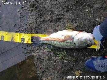 �֥�å��Х�