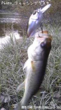 ¥Ö¥é¥Ã¥¯¥Ð¥¹