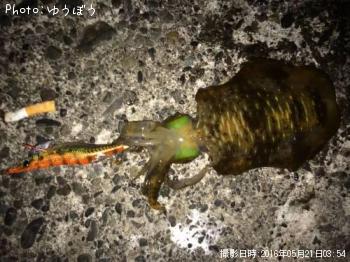 �����ꥤ��