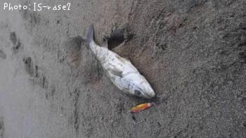 �����Х�